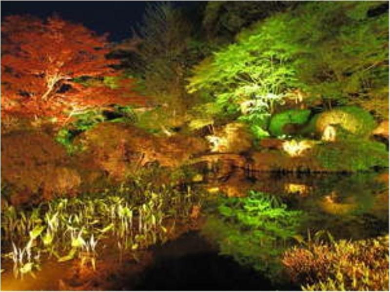 Ryumontei Chiba Ryokan Kazuno Luaran gambar