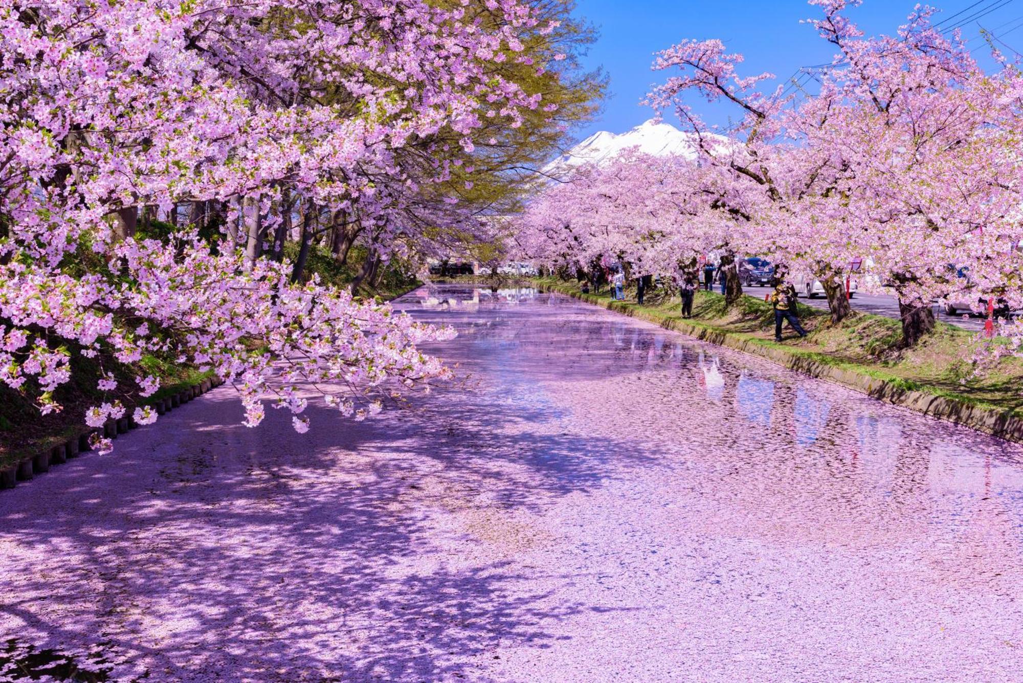 Ryumontei Chiba Ryokan Kazuno Luaran gambar